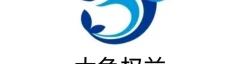 大鱼权益